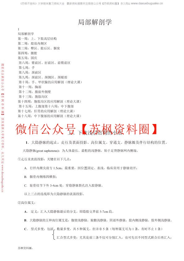 局部解剖学